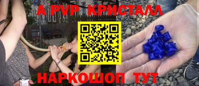 стафф Владикавказ