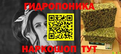 стафф Владикавказ