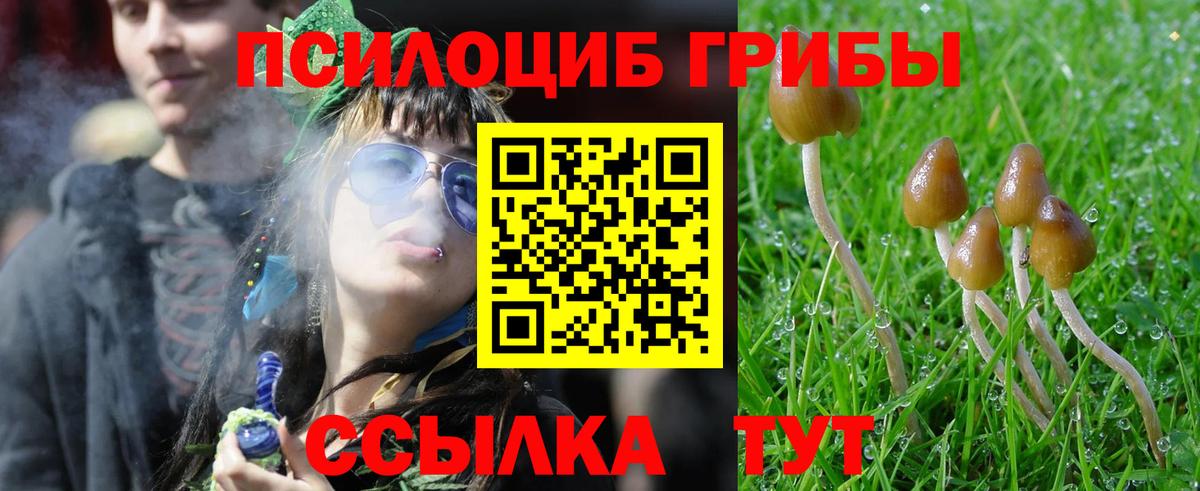 Галлюциногенные грибы Cubensis  Вход с VPN  Лосино-Петровский 