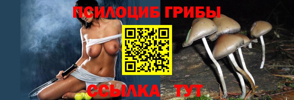 Псилоцибиновые грибы Psilocybe Лосино-Петровский